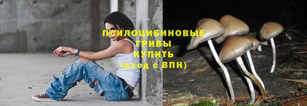 крисы Белокуриха