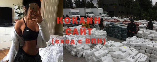 крисы Белокуриха
